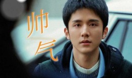 王九北爆料视频,事件背后惊人真相