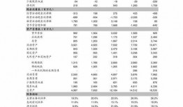 小浪骑行爆料视频下载安装