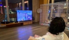 爆料千万豪宅事件视频播放,一场豪门恩怨的激烈对决