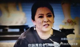 向太爆料香港娱乐圈,香港娱乐圈背后的惊人内幕