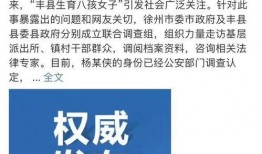 丰县八孩爆料最新消息,真相逐步浮出水面