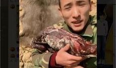 漂泊者超哥爆料视频,漂泊者生活背后的真实故事