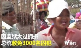 爆料英国记者视频大全集,视频大全集深度解析