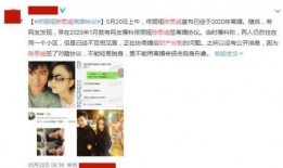 爆料千万豪宅事件视频播放,一场豪门恩怨的激烈对决