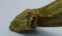 沉香吃瓜爆料视频大全下载,揭秘娱乐圈幕后真相