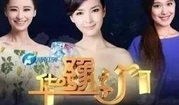 华豫之门在线观看,探寻古董珍宝的传奇之旅