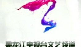 在线观看文艺频道,品味经典，畅享艺术盛宴