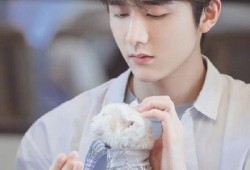 成毅生活爆料最新消息图片