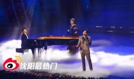 辽宁卫视最新爆料,揭秘重大事件背后真相