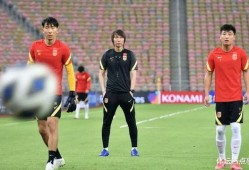 爆料国足主帅视频大全下载,视频大全下载背后的真相与亮点