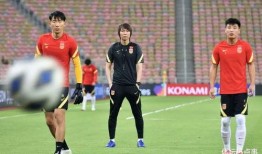 爆料国足主帅视频大全下载,视频大全下载背后的真相与亮点