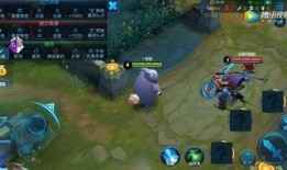 王者英雄人鱼爆料视频大全,王者爆料视频大全揭秘