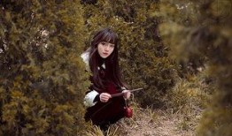 森林秘密在线观看,揭秘神秘森林的奇幻之旅