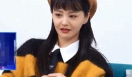 圈内爆料郑爽事件,娱乐圈的隐私与道德边界