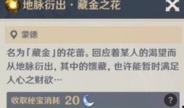 原神最新爆料多少钱一次,探索神秘世界，仅需XX元即可开启奇幻冒险之旅