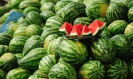 西瓜皮皮娱乐大爆料