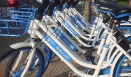 哈罗单车最新爆料,揭秘行业变革与创新趋势