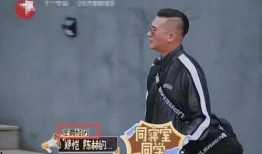 陈赫郑恺大学爆料事件视频,校园趣事引发热议