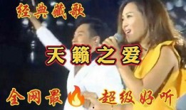 天籁之音在线观看,一场跨越时空的听觉盛宴