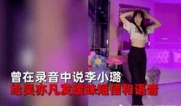 小g娜吴亦凡爆料视频,真相与争议交织