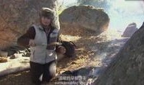 野外求生爆料视频大全,揭秘视频大全中的生存智慧