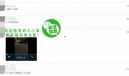 网络爆料在线观看视频,一窥事件背后真相