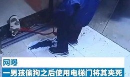 午夜男孩爆料视频,视频内容深度解析