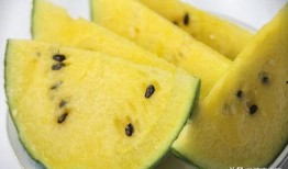 718sx吃瓜娱乐去哪了,探寻消失的瓜界传奇