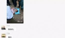 爆料小视频是真是假