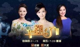 华豫之门在线观看,探寻古董珍宝的传奇之旅