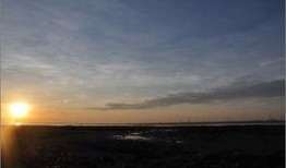 落日黄沙在线观看