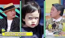 小胖解说爆料视频大全最新,揭秘娱乐圈幕后风云