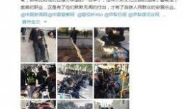 新疆网友爆料新闻视频,神秘视频揭示惊人真相！