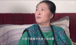 前儿媳妇爆料前婆婆视频,前婆婆视频背后的惊人真相