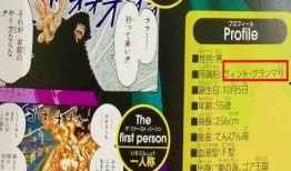 最新海贼爆料大全